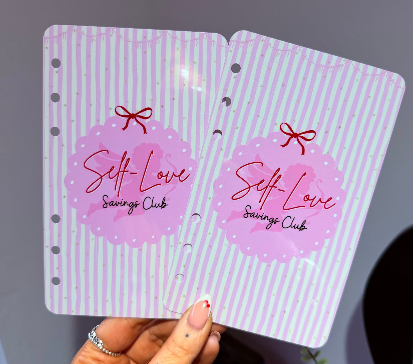 Self Love Savings Club Dashboard