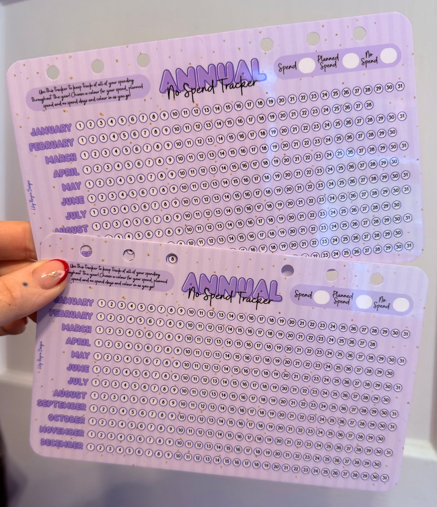Annual No Spend Tracker Dashboard