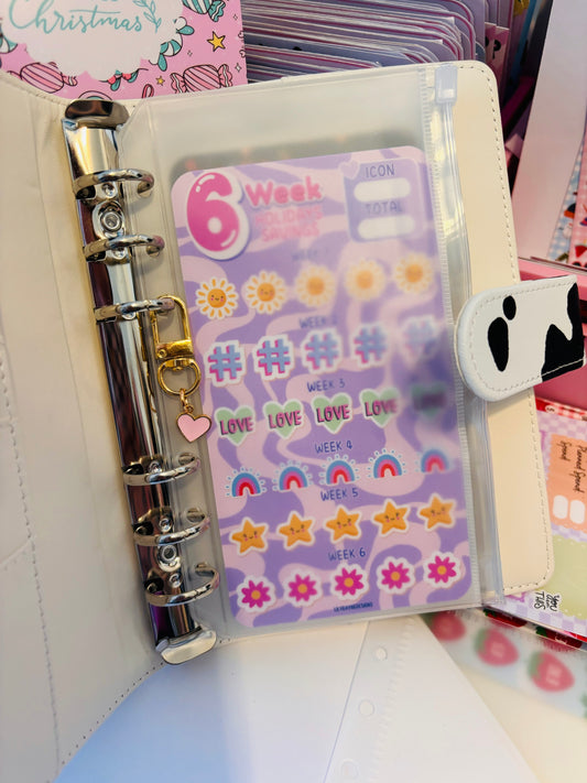 A6 Translucent Binder Wallet