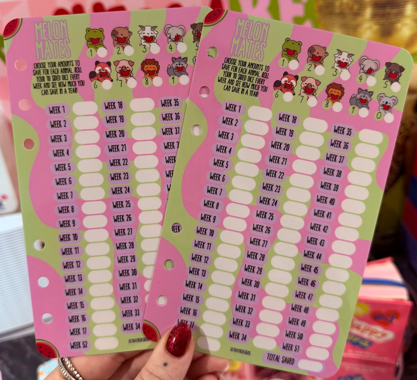 Melon Mates Saving Challenge Dashboard