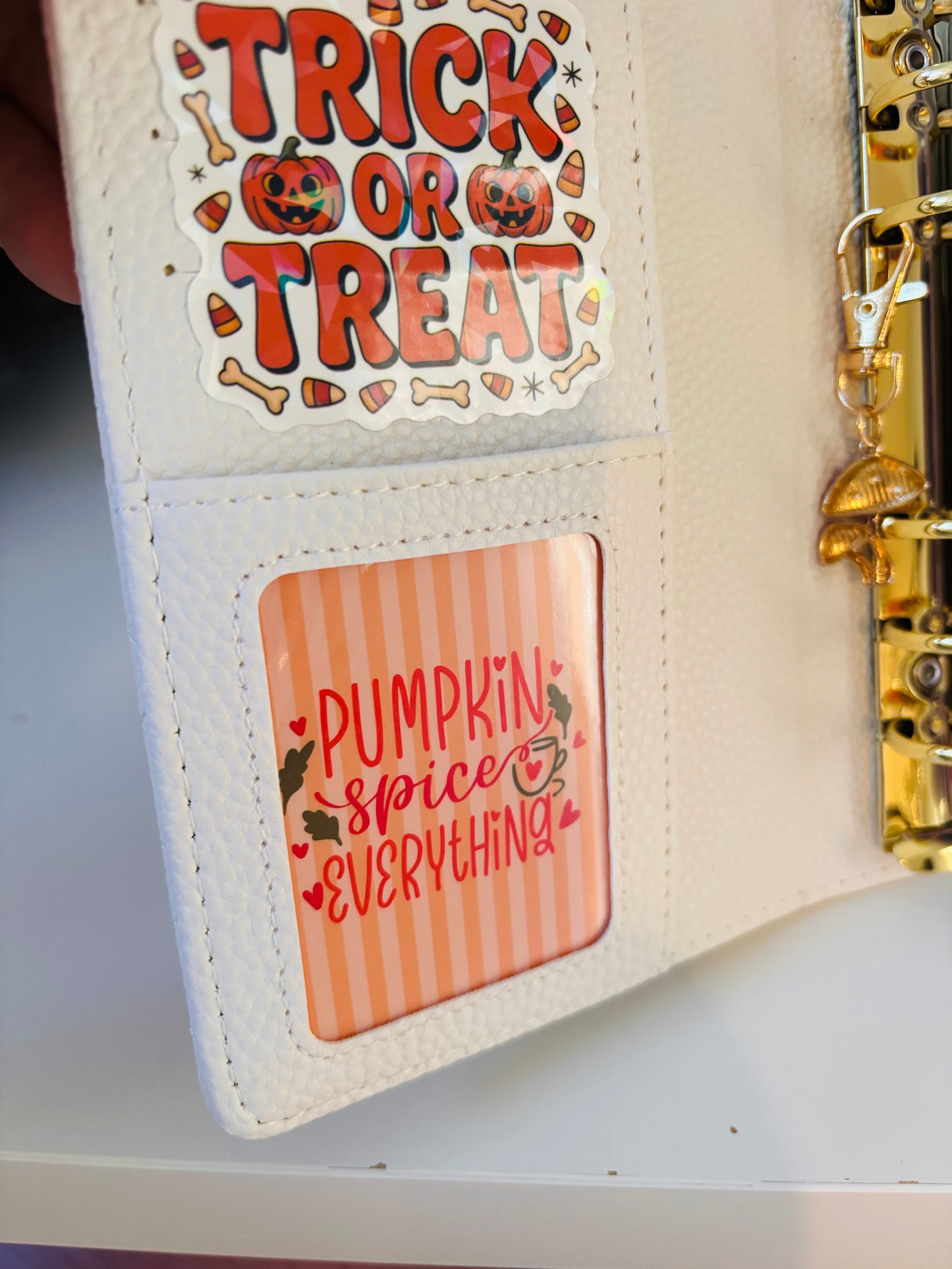 Autumn & Halloween Binder Windows